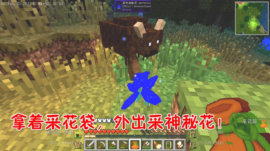 我的世界美丽新世界第二季06：做采花袋，外出采花的星星！