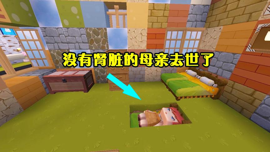迷你世界：母亲为了供女儿上学，交不起学费，却用肾脏来换取学费