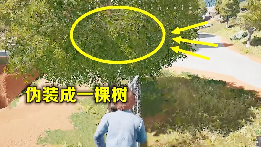 绝地求生：世界第一伪装大师有多强？躲在树上，就像一条变色龙