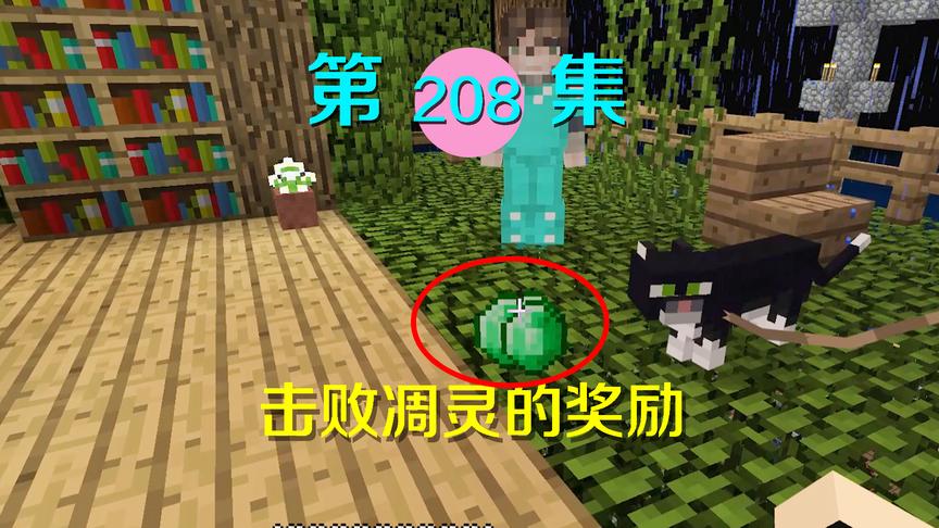 我的世界阿阳历险记208：阿源再次来访，送了我钻石绿宝石做奖励