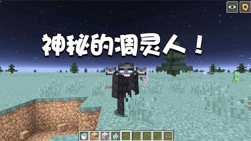 我的世界特别篇52：遭遇神秘人形凋灵！穿上它就能获得凋灵能力！