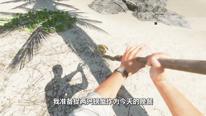 荒岛求生01：我是贝尔格里尔斯小伟，漂泊了3天，今天终于开荤了