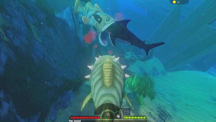 海底大猎杀：大嘴鱼和鲨鱼互咬，我一旁观战！谁能赢？
