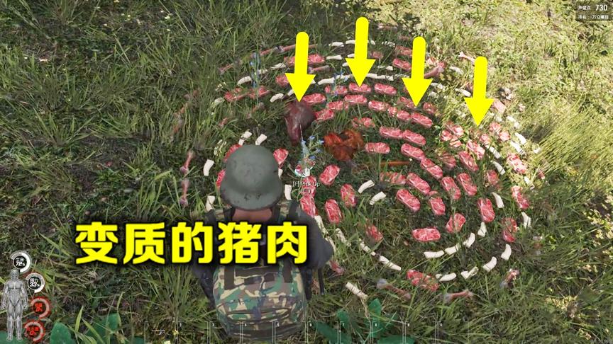 人渣Scum：荒野求生第十一天，吃了变质的猪肉，我四肢无力