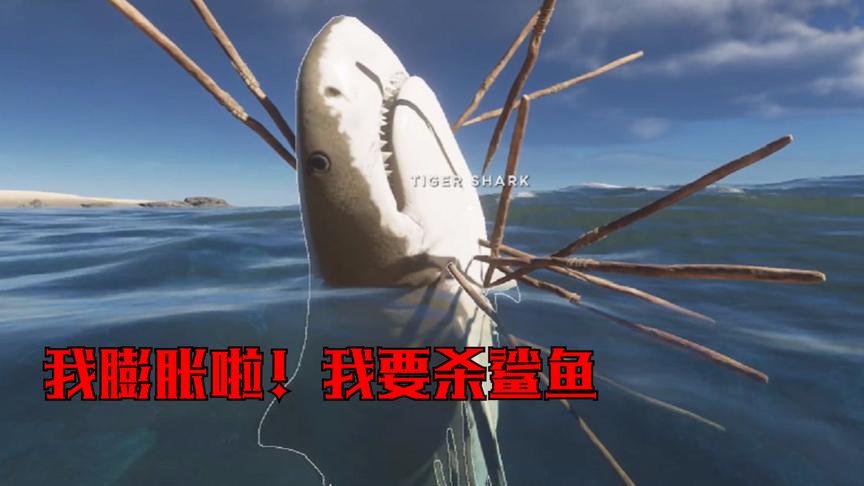 荒野求生09：我在大海中看到了一只大白鲨，我决定杀一只开开荤