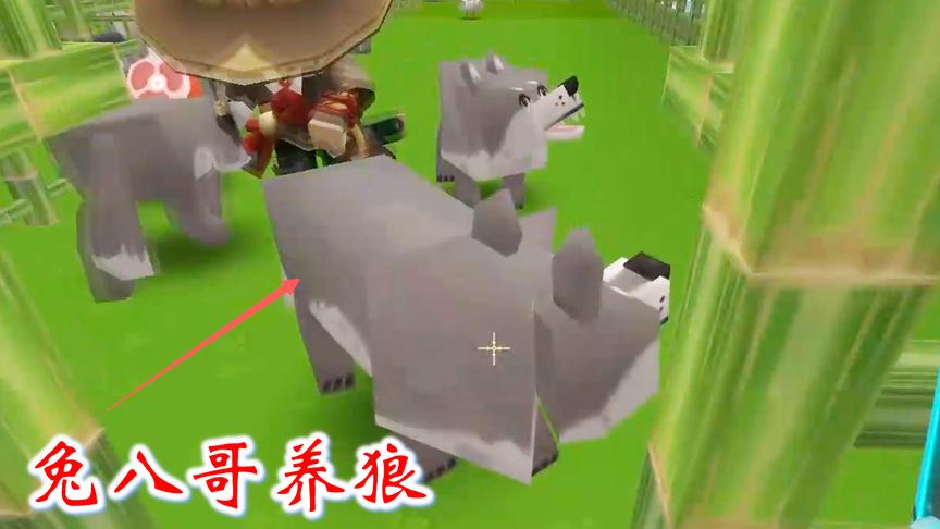 迷你世界联机461：兔八哥养了许多狼，用来挑战猪小妹的狗