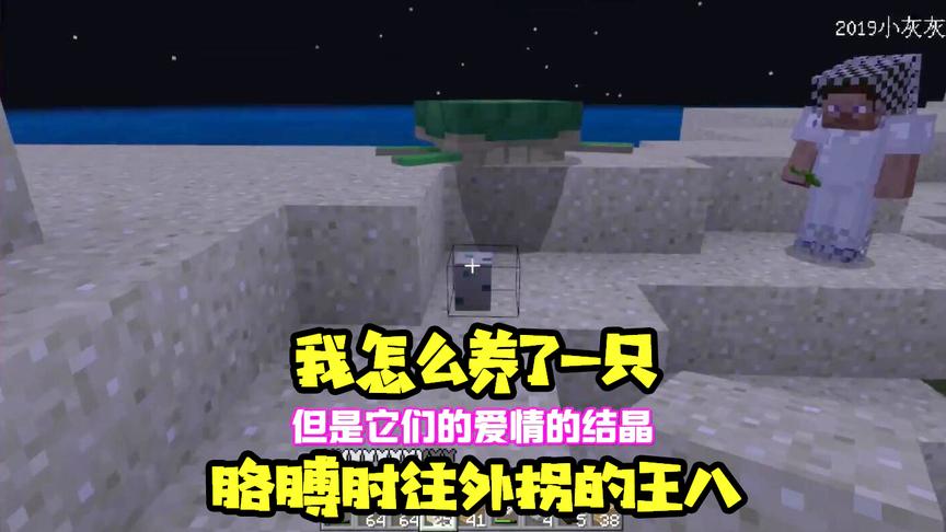 我的世界16：建了一个养王八基地，没想到竟然有王八偷偷越狱！