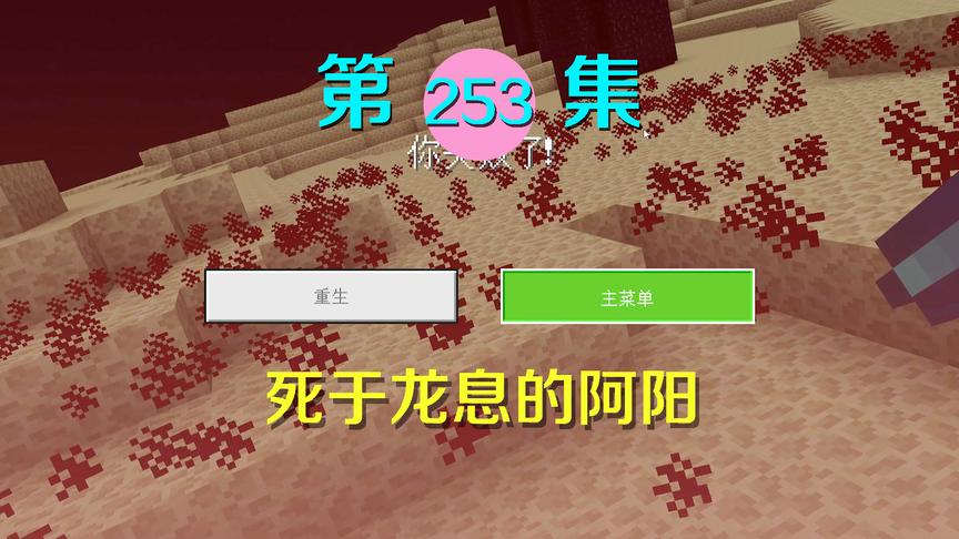 我的世界阿阳历险记253：战斗中我太大意，被末影龙一口龙息喷死