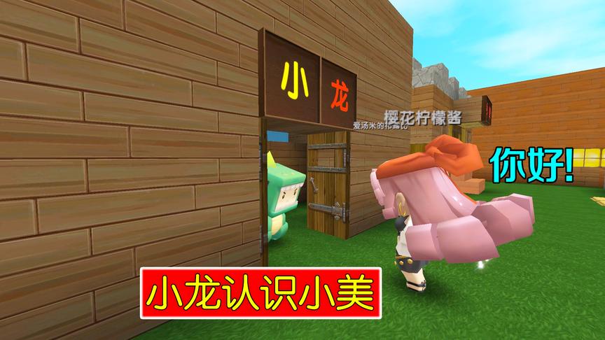 迷你世界故事：小美放学被人欺负，她爸让小龙保护她，他俩认识了