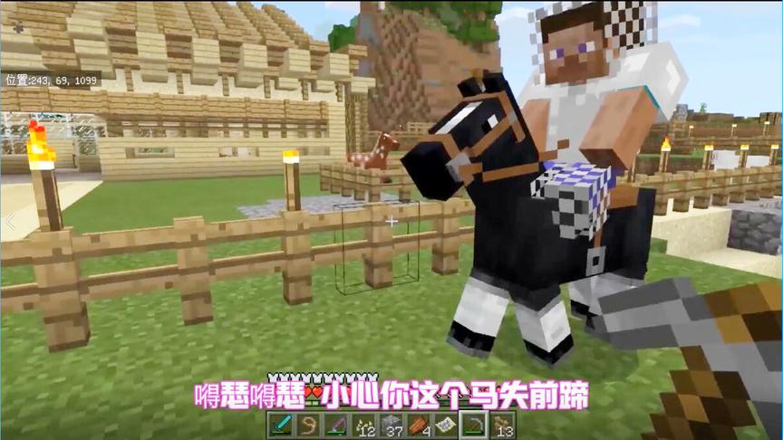 我的世界19：灰灰找到一匹黑风宝马！这么嘚瑟，我该揍他么？
