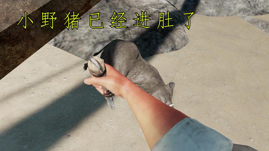 荒野求生12：我抓到了一只野猪，决定做成烤乳猪，味道可真香！