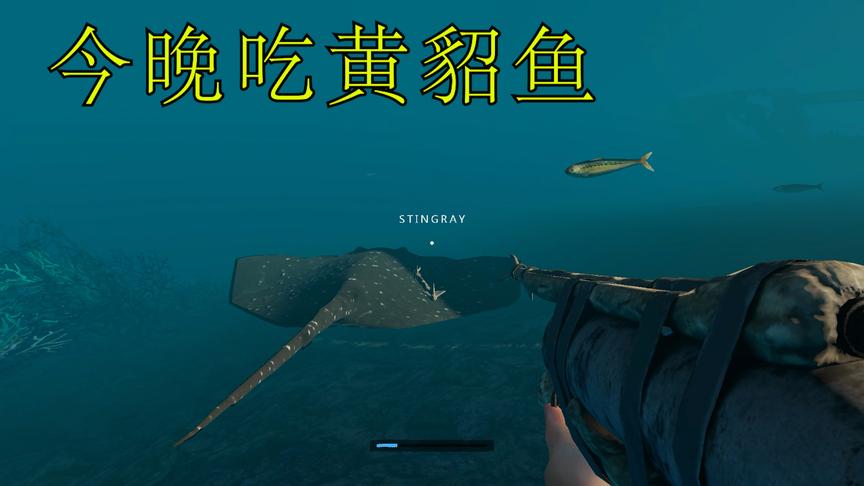 荒野求生13：我抓到了一只黄貂鱼，不知道好不好吃，但我先尝尝