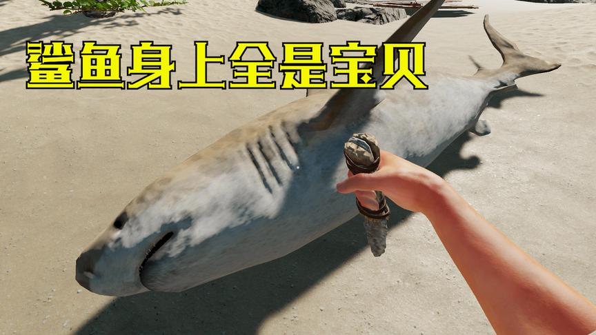 荒野求生14：我终于抓到了一只大白鲨，今天晚上我们一起开开荤！