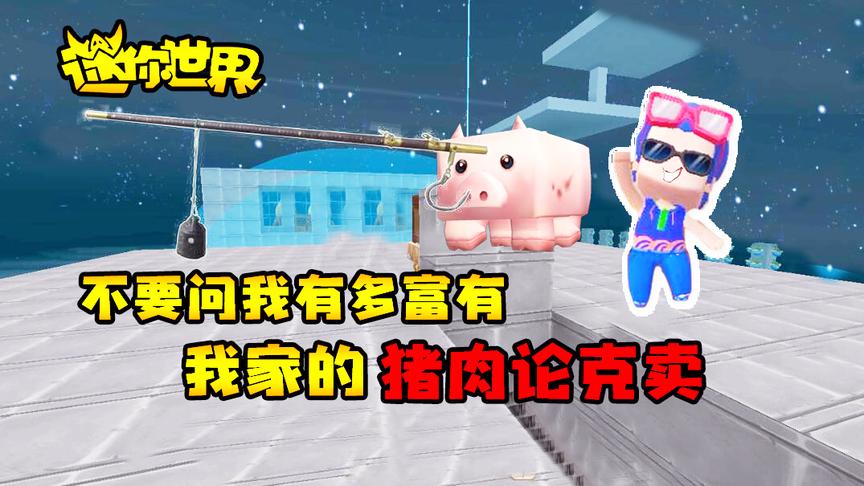 迷你世界联机生存262：不要问我有多富有，我家的猪肉论克卖！