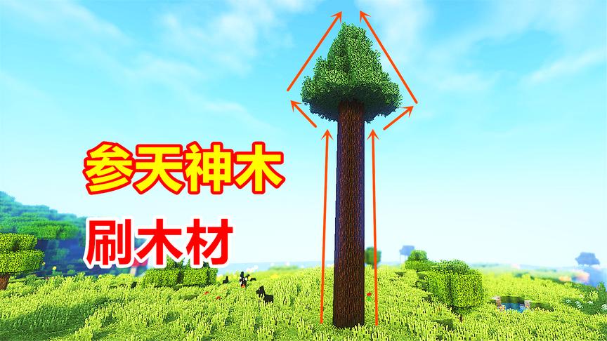 我的世界海洋版03：为了建造海边别墅！我找到了神木树苗！