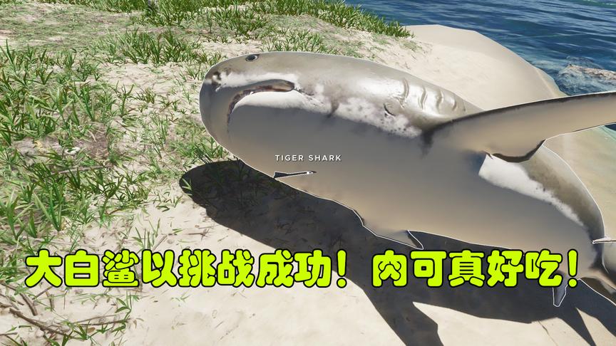 荒岛求生42：我成功挑战了真正的大白鲨，而且它的肉实在太好吃了