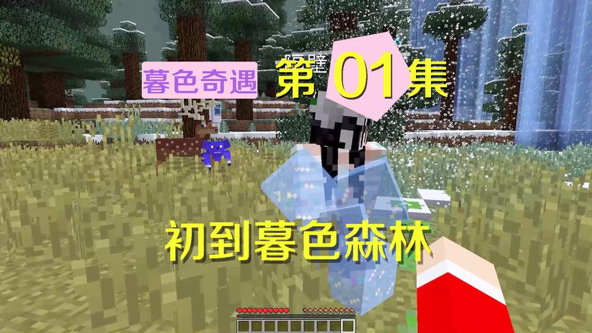 我的世界阿阳暮色奇遇1：初到暮色森林装备全没？被喷雪的狼喷死