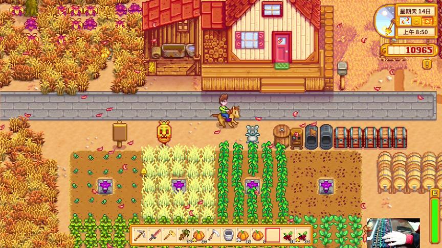 星露谷物语EP26：日常任务养鸡种菜