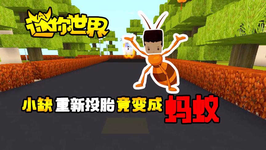 迷你世界搞笑故事：小缺意外死亡重新投胎，居然变成了蚂蚁？