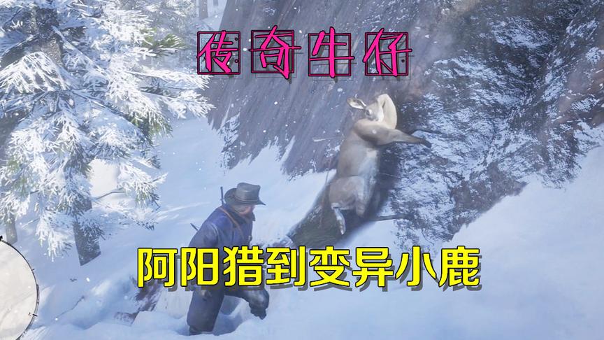 外出打野猎到一只鹿，看到这个模样我还以为它变异了