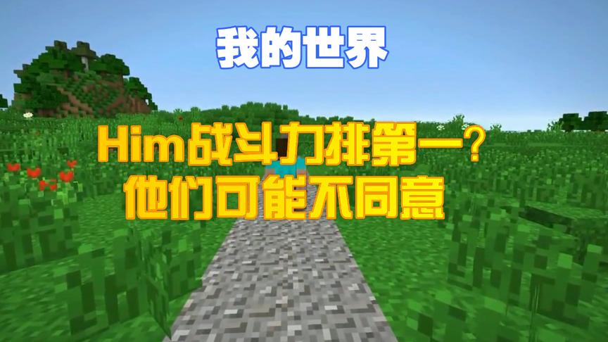 我的世界：Him战斗力排第一？他们可能不会同意！