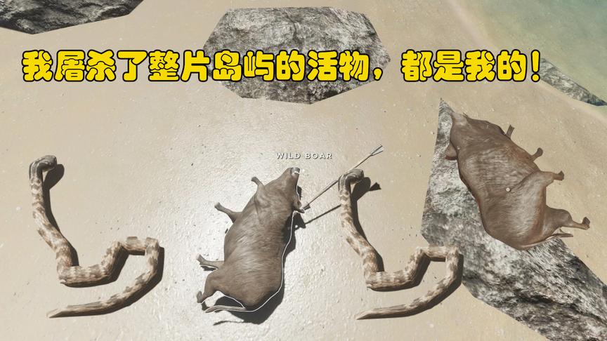 荒岛求生43：我解决了这片岛屿所有的活物，东穆所过之地寸草不生