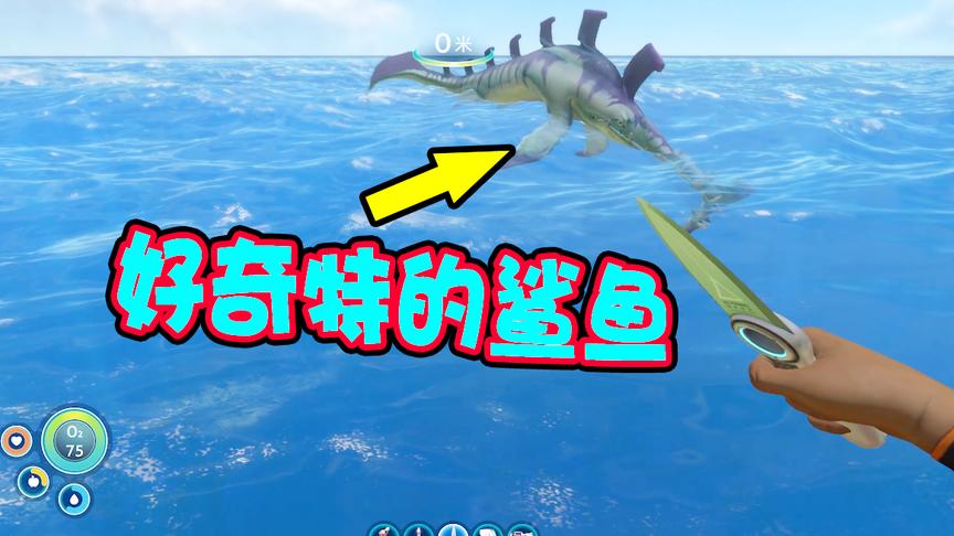 深海迷航02：遭遇奇特鲨鱼袭击，原来这个星球并不安全