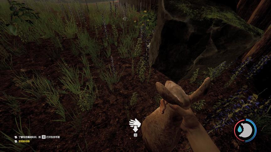 迷失森林04：为什么要吃兔兔，兔兔这么可爱，哇，兔肉真香诶！