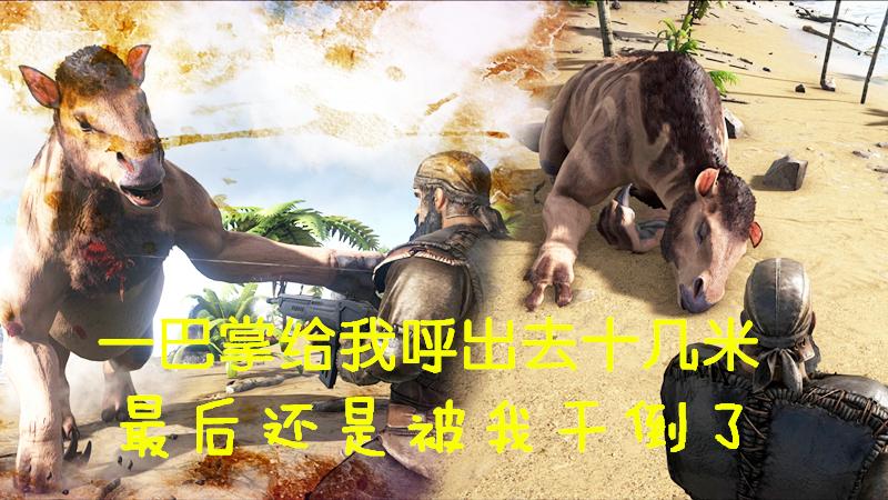 《方舟》一巴掌给我呼出去十几米，最后还是被我的机智干倒了