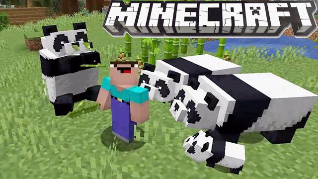 如何培育国宝熊猫以及脚手架的妙用方法 我的世界1.14新内容教学