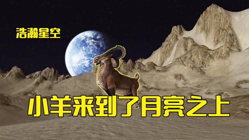模拟山羊第23期：小羊被飞船带到了月球上，在这发现了人类的足迹