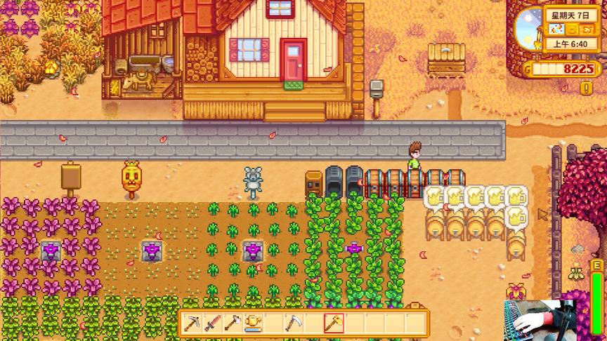 星露谷物语EP24：酿酒流的威力已经看到苗头了，将会越赚越多