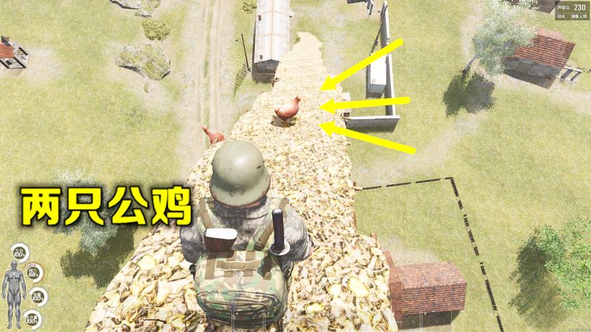 人渣Scum19：和两只公鸡沟通了半天，才发现它们不是本地鸡