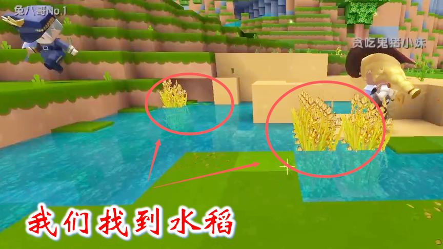 迷你世界联机高级生存49：我们在野外找到水稻，可以带雪女回家了