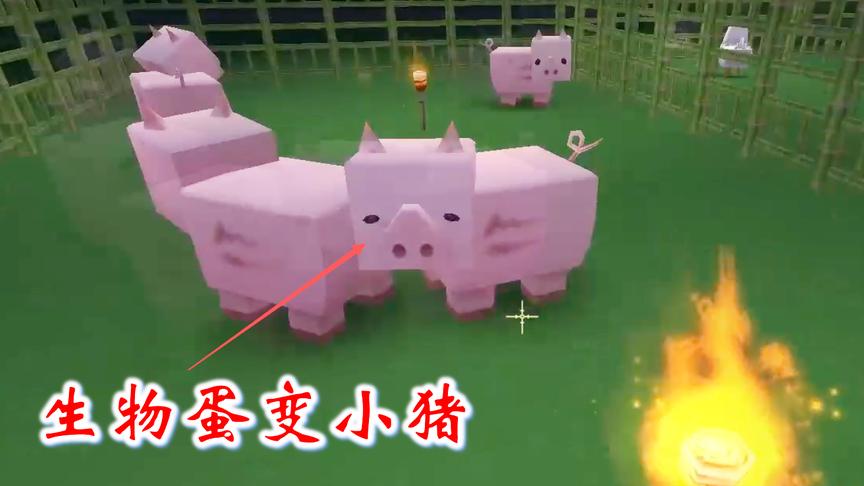 迷你世界联机高级生存50：我从仓库中提取了生物蛋，变出了小猪