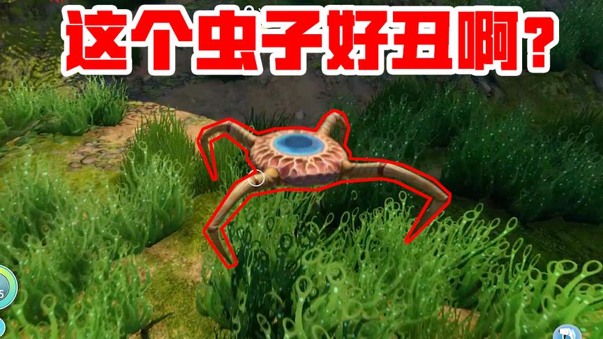 木筏求生第二季05：我在岛上发现了一种奇怪的虫子，应该很危险！