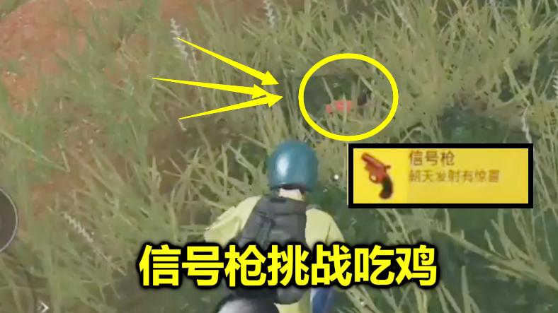 刺激战场：只给你一把信号枪，能吃鸡吗？这个玩家就做到了