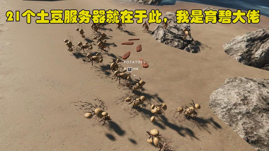 荒岛求生58：我回到了居住地，收获了21块土豆，叫我商人东穆