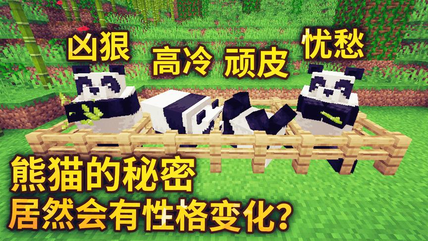 我的世界：1.14新生物熊猫介绍！熊猫居然还有不同的性格？好有趣