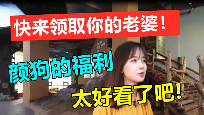 颜狗的福利，快来认领你的老婆！