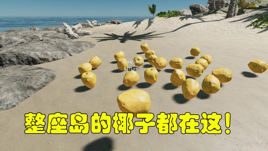荒野求生27：作为这片海域的王者，我决定吃完整座岛屿的椰子！