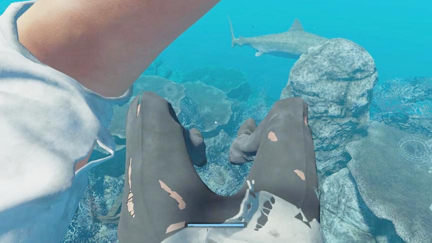 荒岛求生2：海底捉鱼时险被鲨鱼咬到，我在附近沉船里发现宝贝！