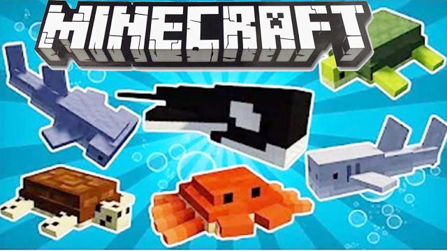 海底大乱斗 更多海洋生物 我的世界模组秀EP43