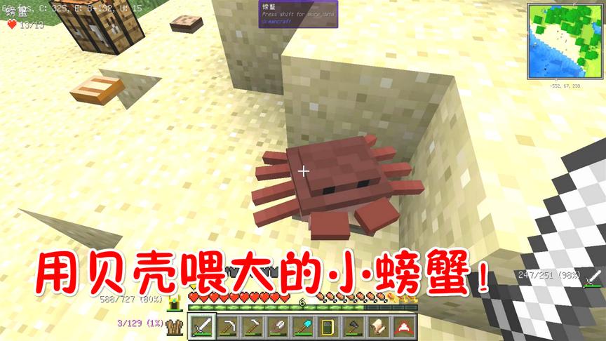 我的世界美丽新世界第二季13：挖贝壳，喂大了一只小螃蟹！