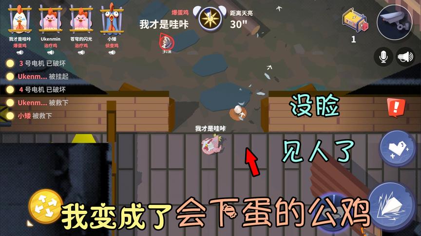 游戏品鉴：我变成了会下蛋的大公鸡？真是没脸见人了！