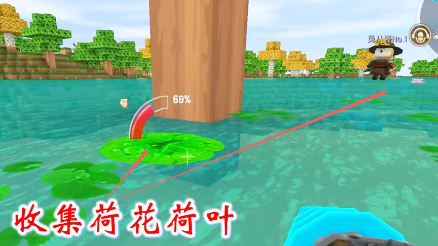 迷你世界联机高级168：我们在野外收集了许多荷花，装饰许愿树