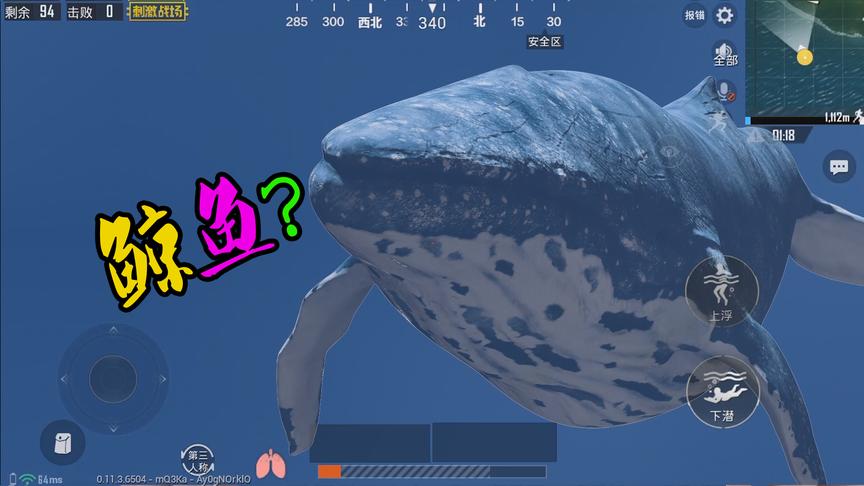刺激战场粉丝帮3：在海底发现一只“鲸鱼”你遇见过吗？