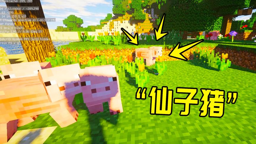 我的世界生存31：豪华海景大别墅初成，旬猫终于脱离了新手范畴！