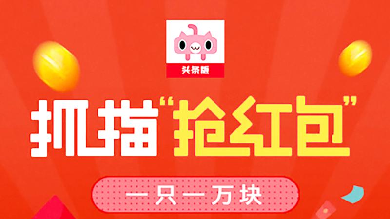 狙击手麦克：快来抓住锦鲤猫，一只1万元！只需一笔画完