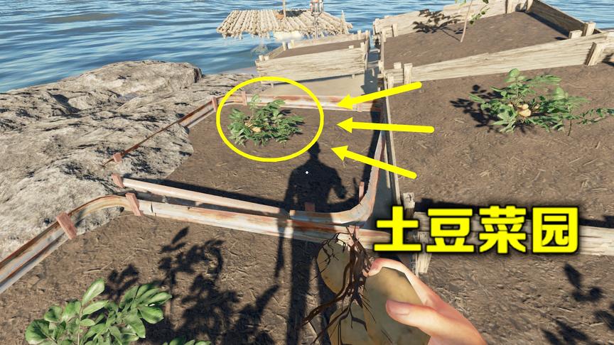 荒岛求生：用海水种出的土豆，不仅能拿来吃，还可以炼出石油